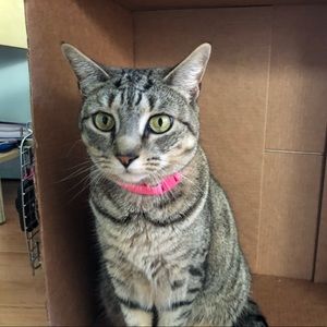 Meet your Posher, Emily